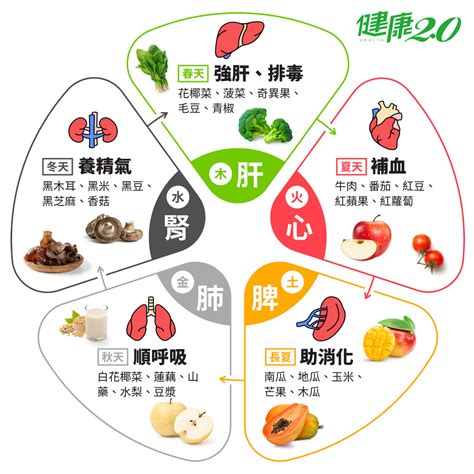 五行食物表|五行五色挑食法，吃出抗病力｜健康2.